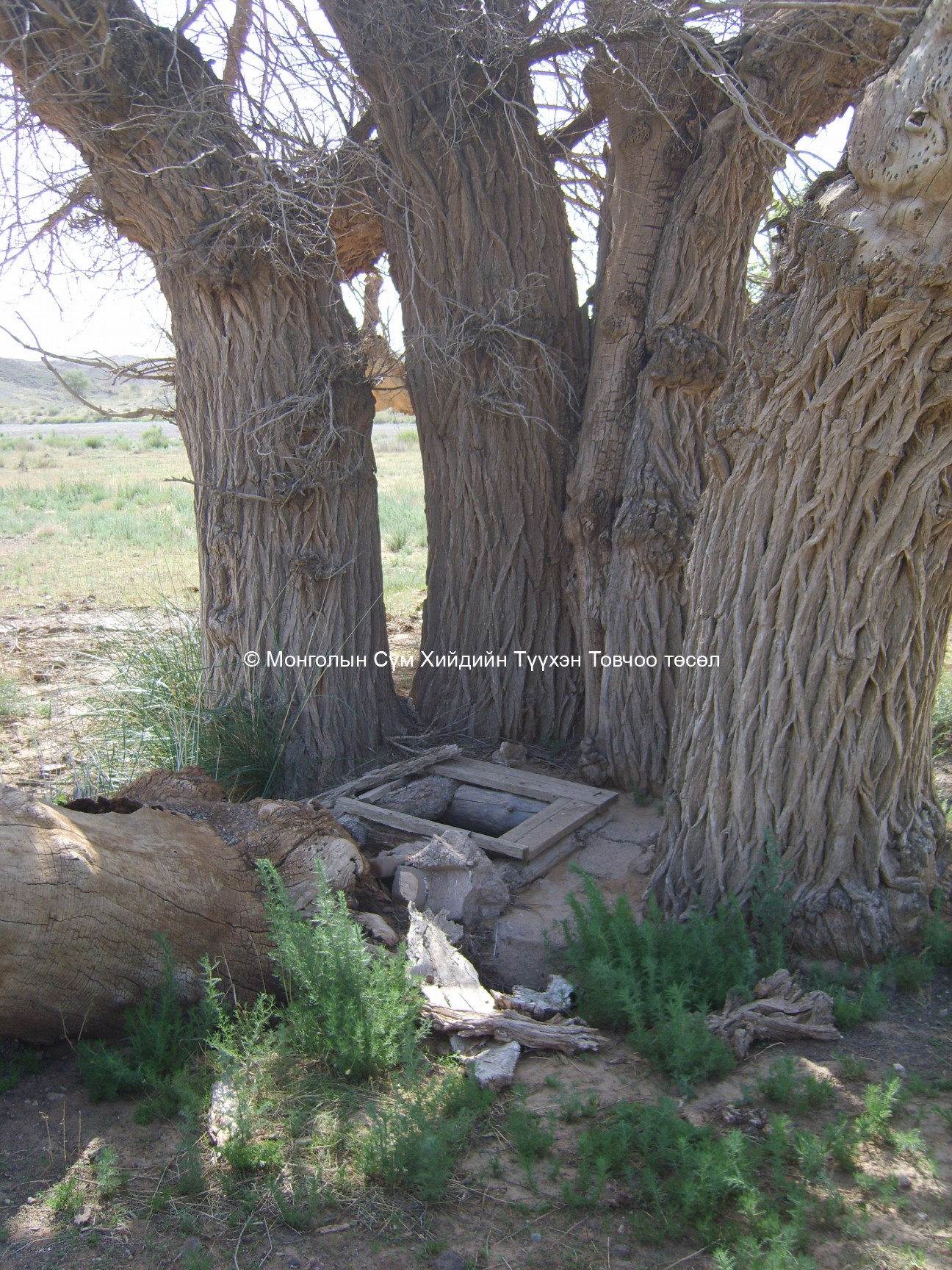 Ярилцлага өгсөн хүний зураг/ Дорноговь аймагт орши